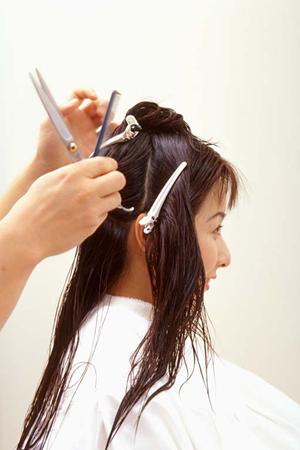 発毛効果のあるシャンプーを販売